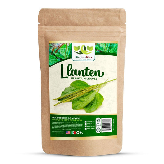 Llanten Plantain Leaves Hierba Herb 4 Oz. Wild Crafted